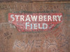 [Strawberry Field]